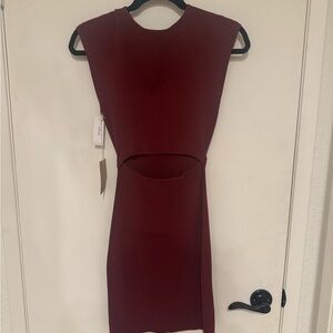 NWT aritzia dress